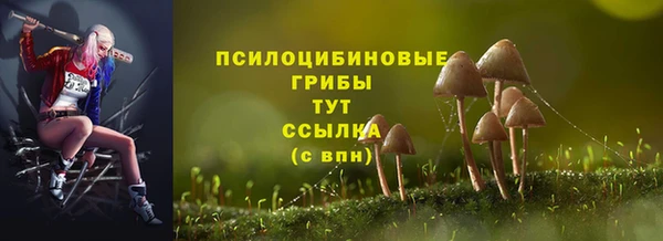 mdpv Гусев