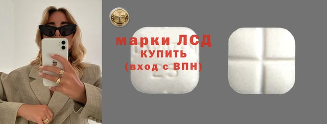 mdpv Гусев