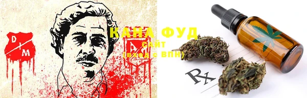 мдпв Гусиноозёрск
