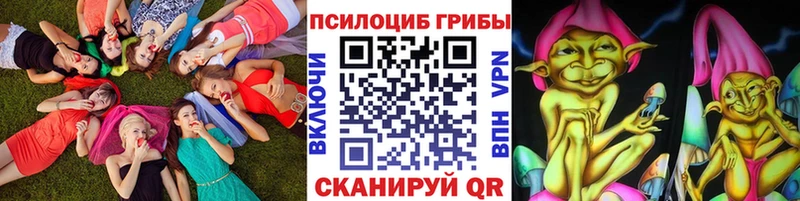 закладки  площадка как зайти  Псилоцибиновые грибы Psilocybe  Камышин 