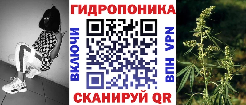 Каннабис Amnesia  Камышин 